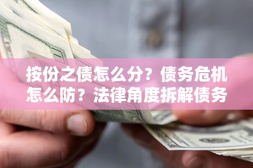 北京按份之债怎么分？债务危机怎么防？法律角度拆解债务分配与风险自保指南