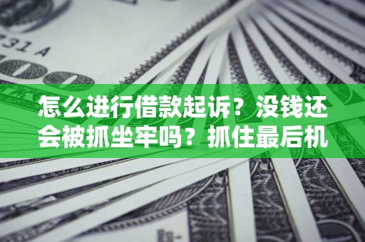 北京怎么进行借款起诉？没钱还会被抓坐牢吗？抓住最后机会！