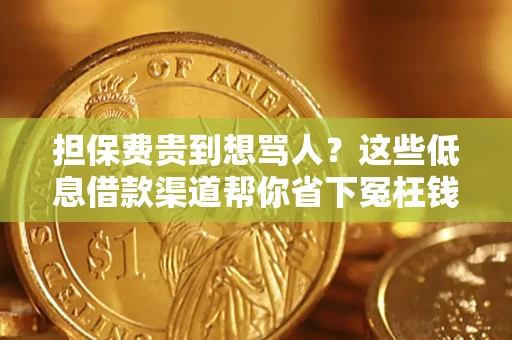 北京担保费贵到想骂人？这些低息借款渠道帮你省下冤枉钱