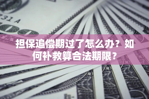 北京担保追偿期过了怎么办？如何补救算合法期限？
