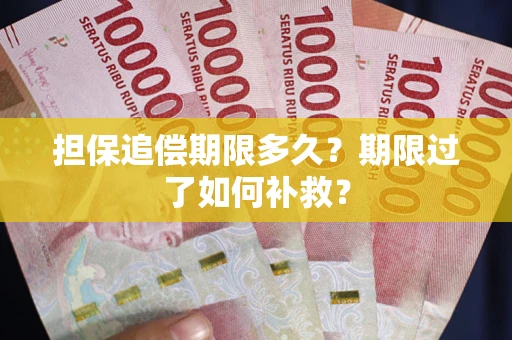 北京担保追偿期限多久？期限过了如何补救？