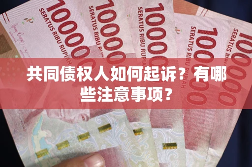 北京共同债权人如何起诉？有哪些注意事项？